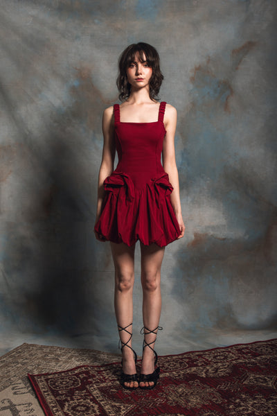 Chloris Berry Mini Dress