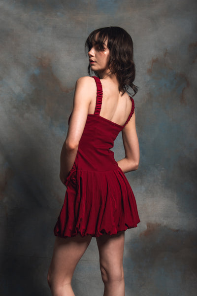 Chloris Berry Mini Dress